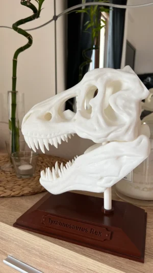 T-Rex Skull είναι ένα τρισδιάστατο τυπωμένο αντίγραφο του εμβληματικού κρανίου του δεινοσαύρου, κατασκευασμένο με απίστευτη προσοχή στη λεπτομέρεια.